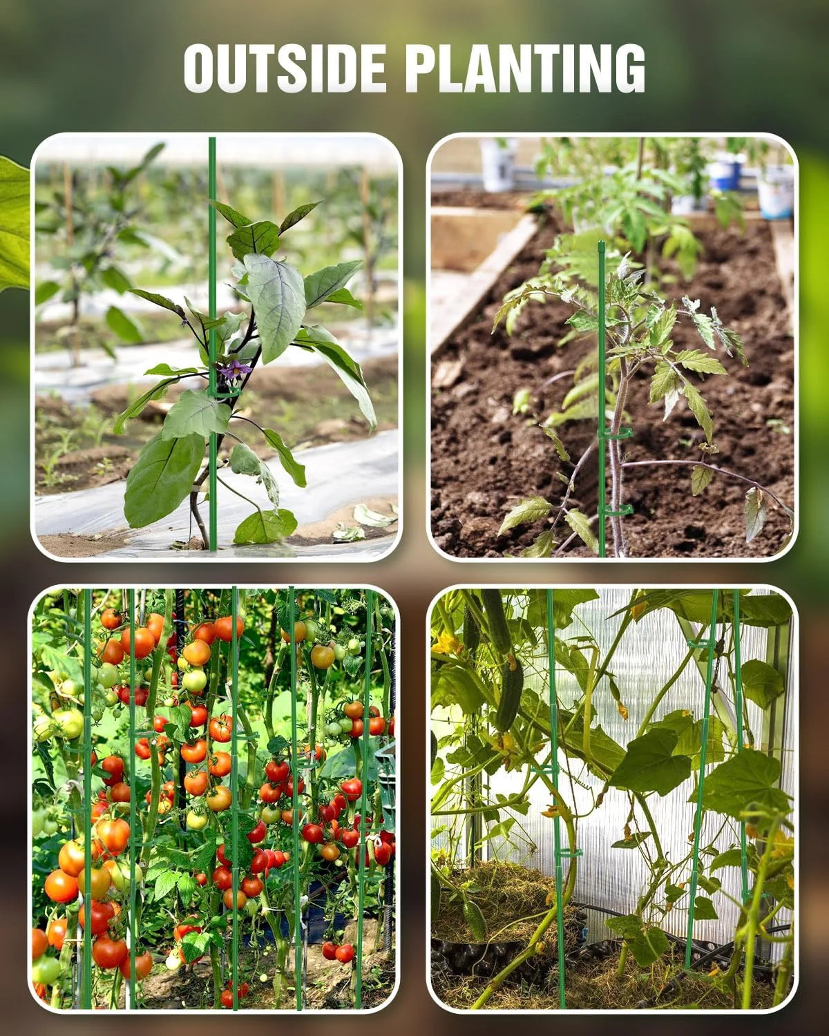 Joyhalo 16 Pack Plant Stakes for Indoor Plants, 12 Inch and 16 Inch Garden Stake