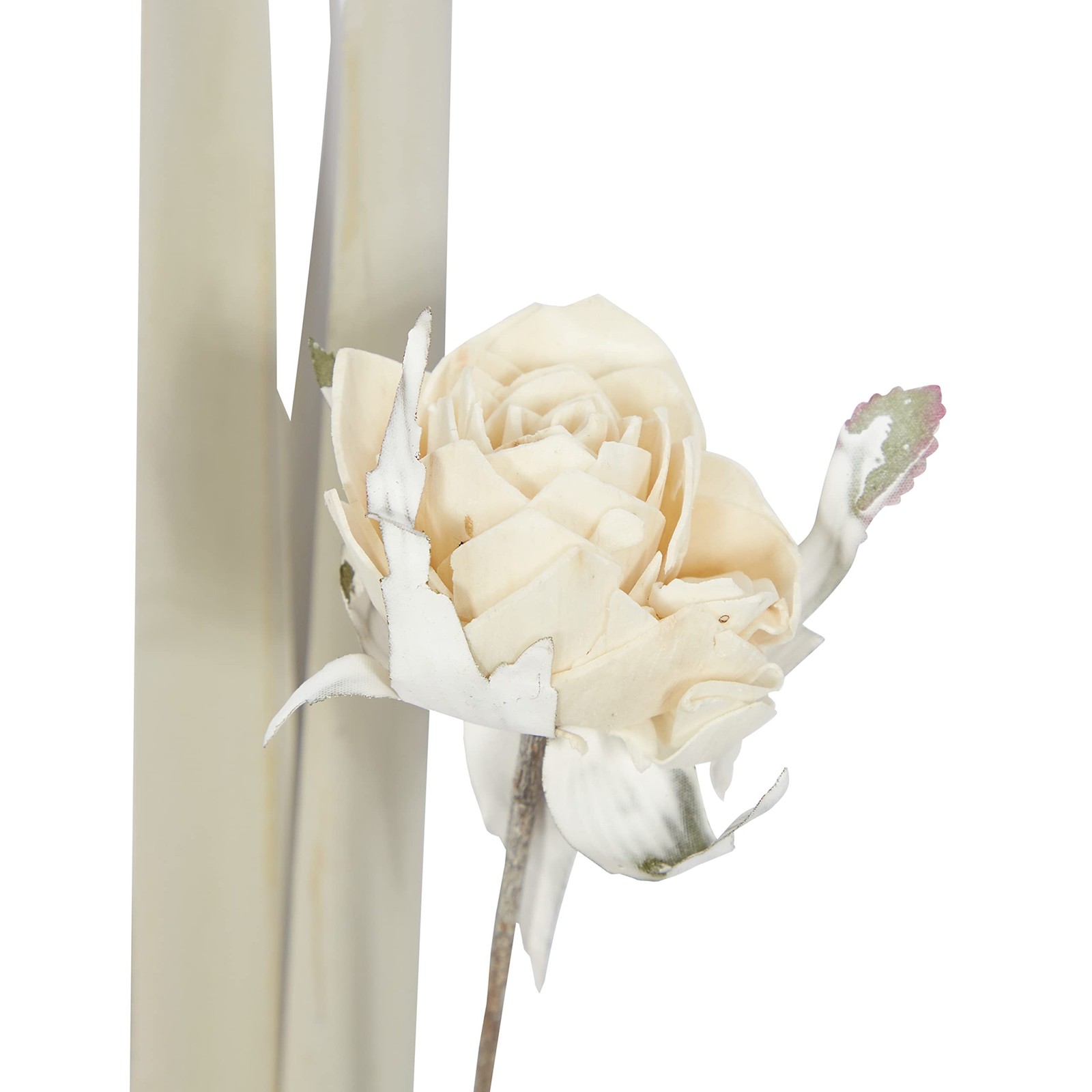 Dried Plant Palm Natural Foliage, Set of 2 5″ W, 38″ H, White