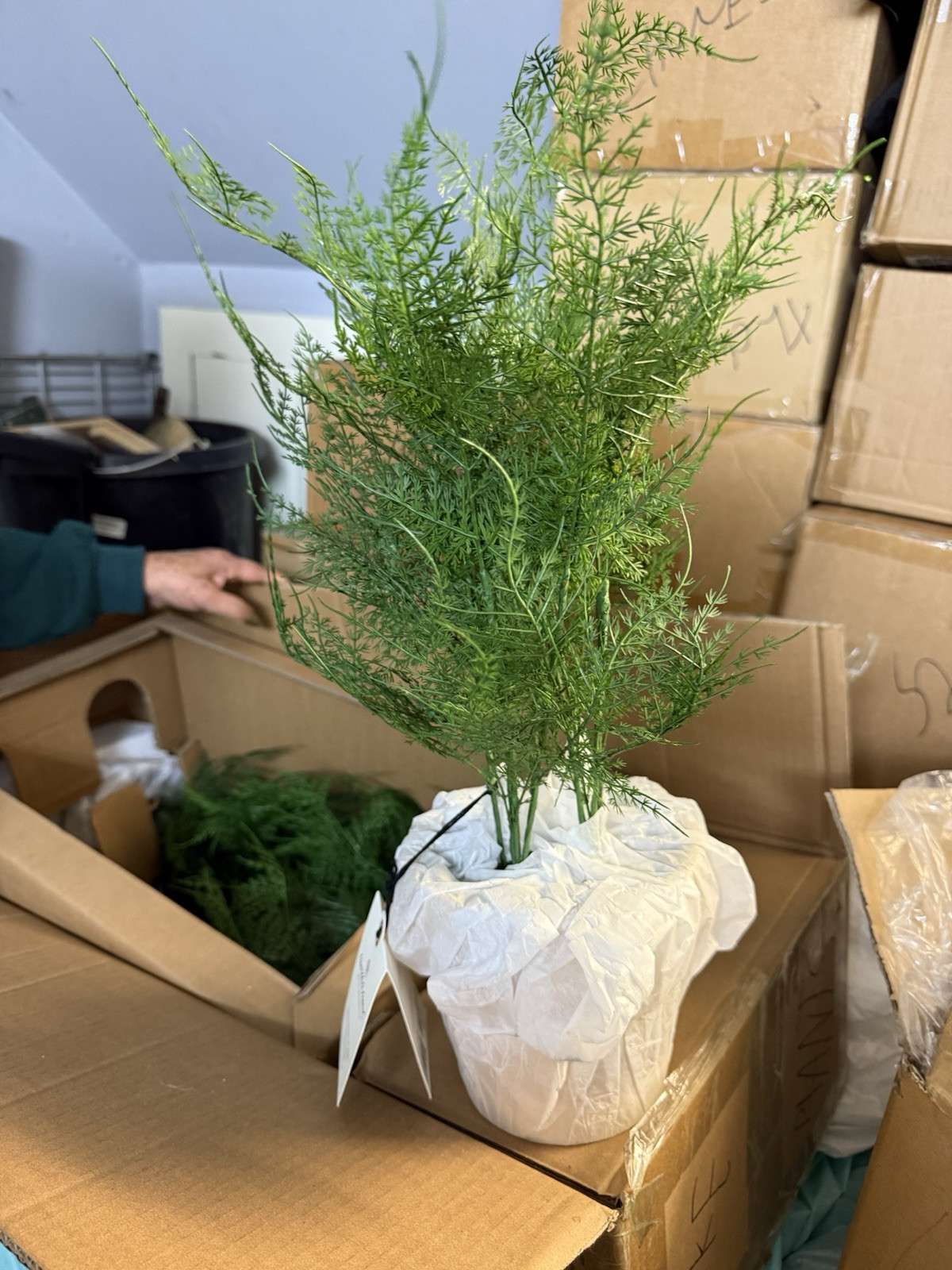 Hearth and Hand with Magnolia Artificial Faux Potted Plants Asparagus Fern