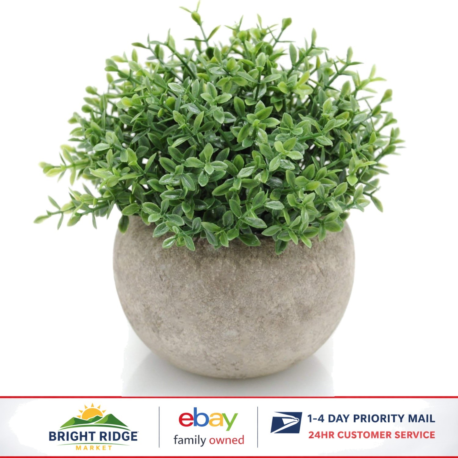 Realistic Boxwood Topiary in Paper Planter for Modern Home and Farmhouse Style