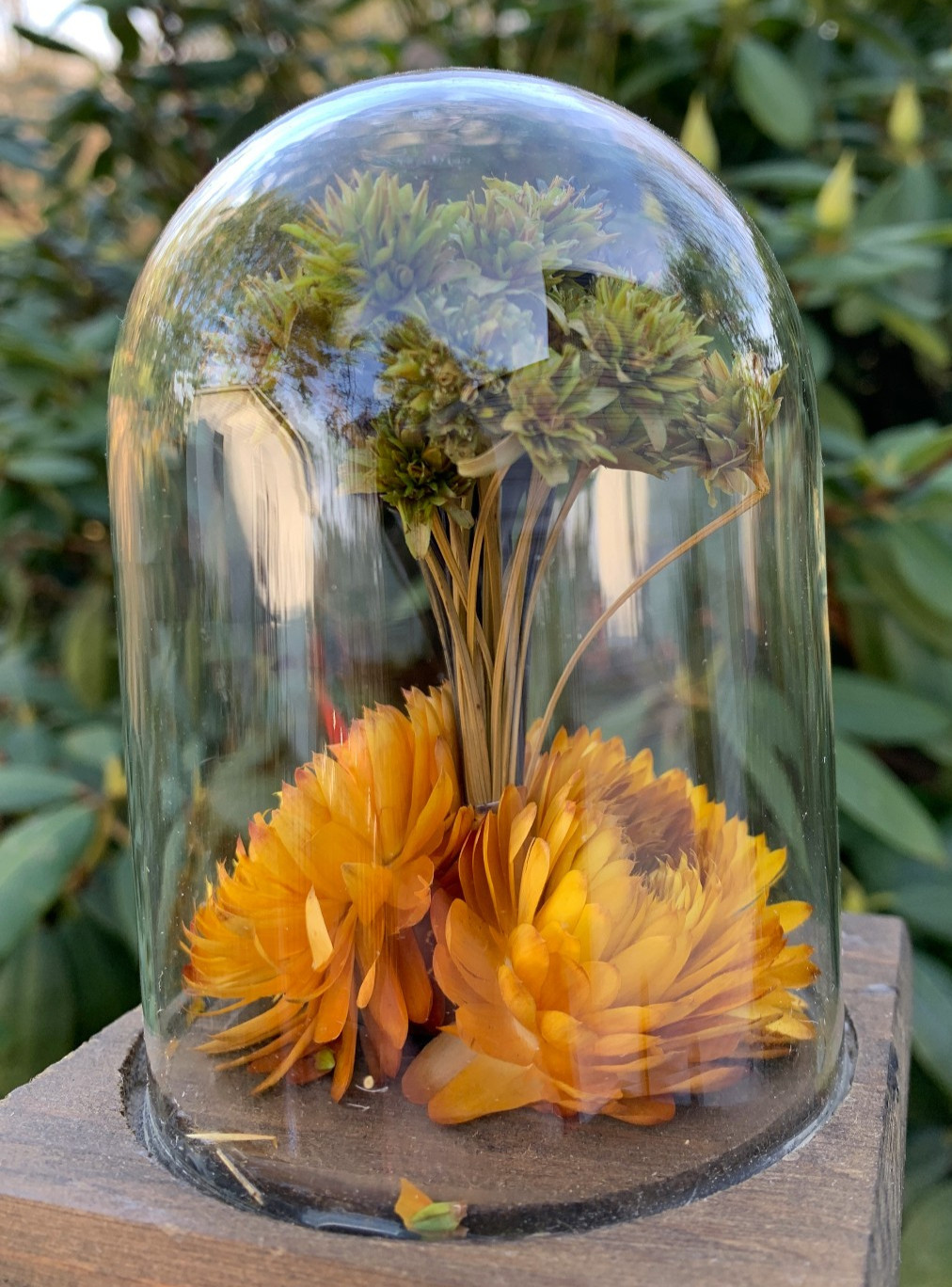 VTG Leonard Creations California Dried Flower Glass Dome on Wood Base w/ Sticker