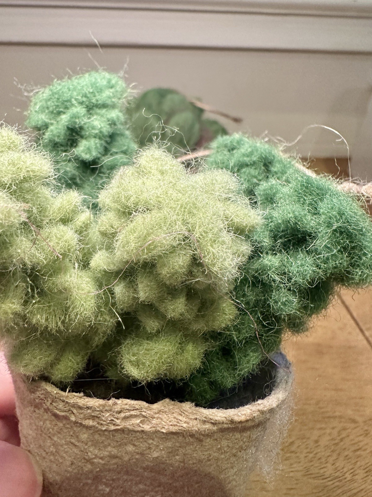 Felted Cactus Ornament Trio – Set of 3 Wool Potted Succulents