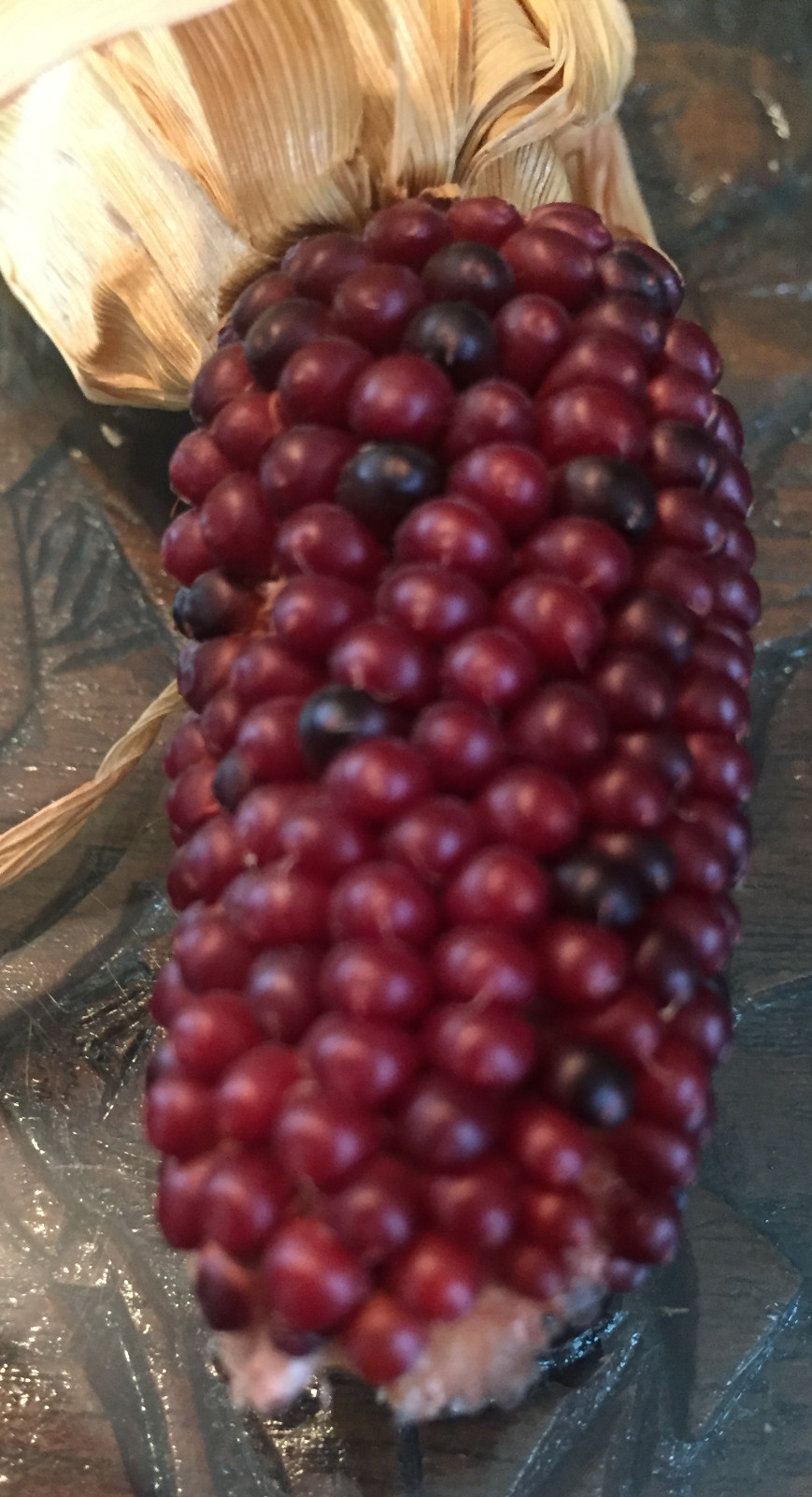 native american Indian Corn various lengths Thanksgiving Fall Decor