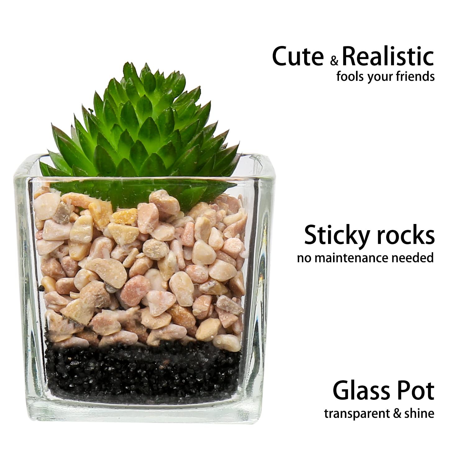Set Of 3 Succulents Plants Artificial In Glass Pots Small Fake Succulents Plants