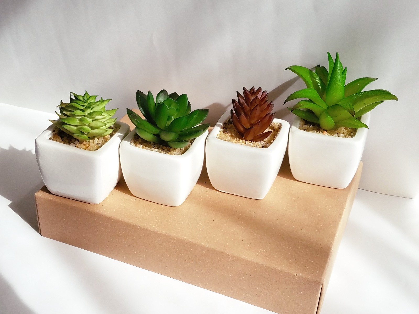 Party Favor Artificial Succulent Set in White Ceramic Pot Mini Plant Home Decor