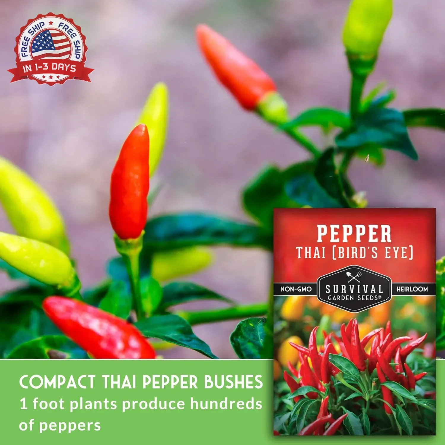 Thai Chili Pepper Seeds for Planting | Bird’s Eye Hot Peppers – Heirloom Non-GMO