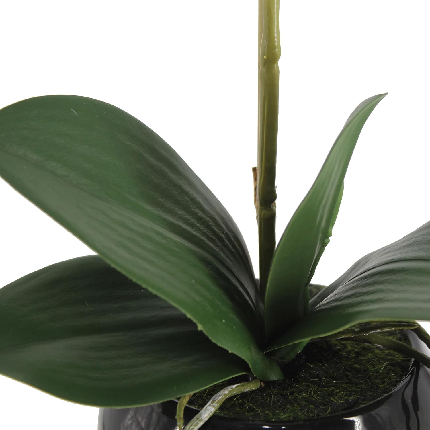 Real Touch Faux Orchid in Ceramic Pot, 16″ White Floral Centerpiece Decor