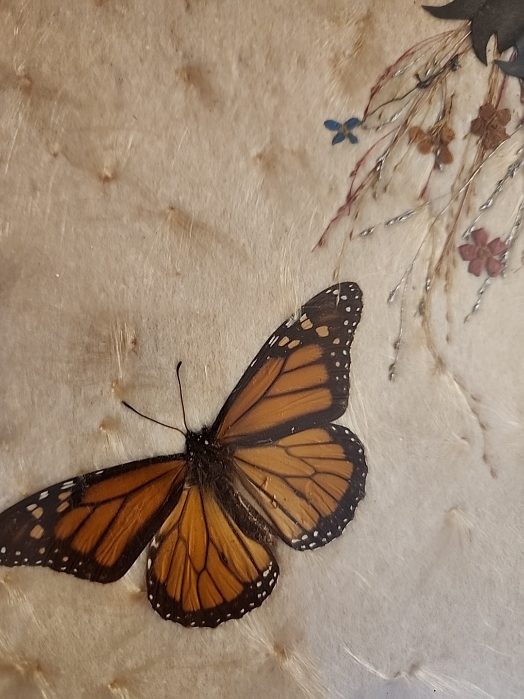 Vintage Butterfly Style Art Glass Tray W/ Stand