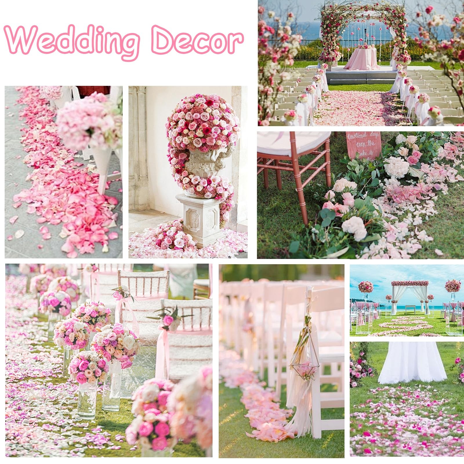 180+ PCS Real Freeze Preserved Pink Dried Rose Petals Wedding Flower Decor