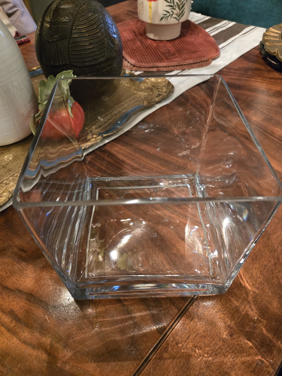 glass terrarium for plants