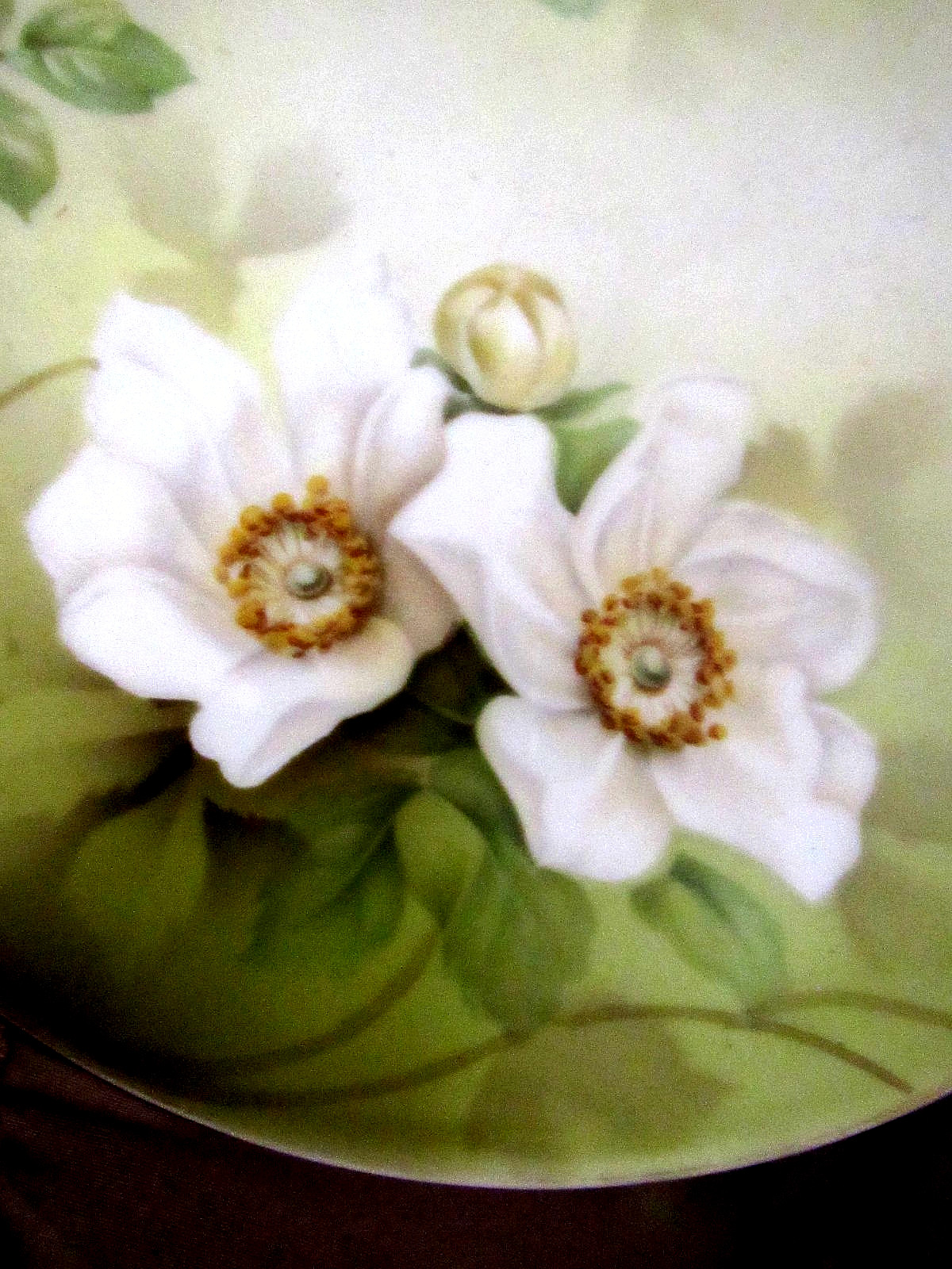 GORGEOUS FLOWERS Hand Painted on GERMANY 8 1/2″ ROUND, O’douvre SERVING Plate