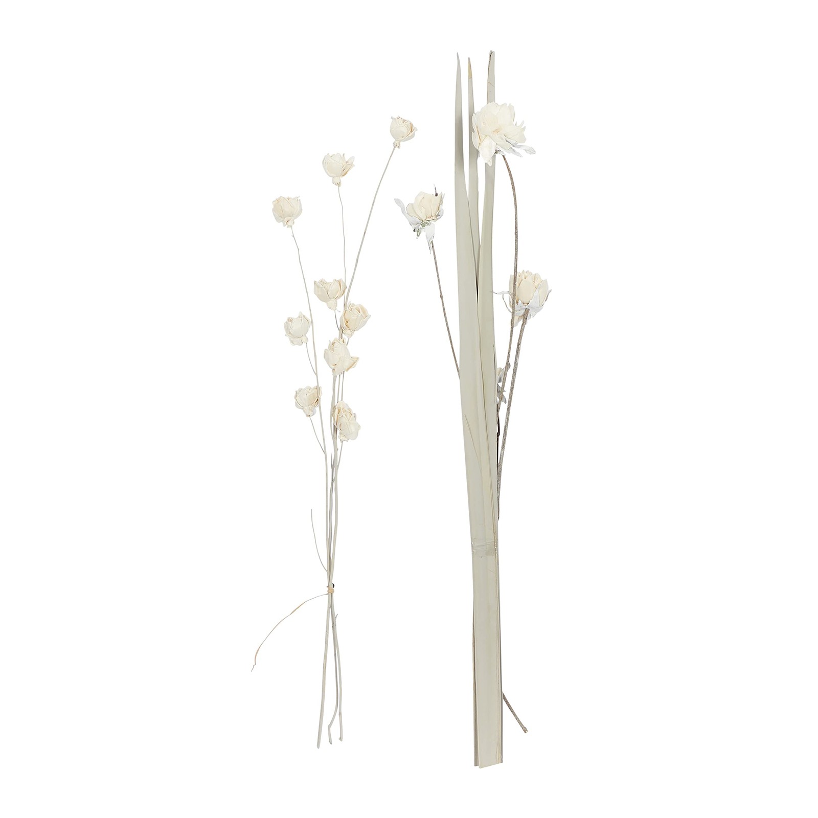 Dried Plant Palm Natural Foliage, Set of 2 5″ W, 38″ H, White