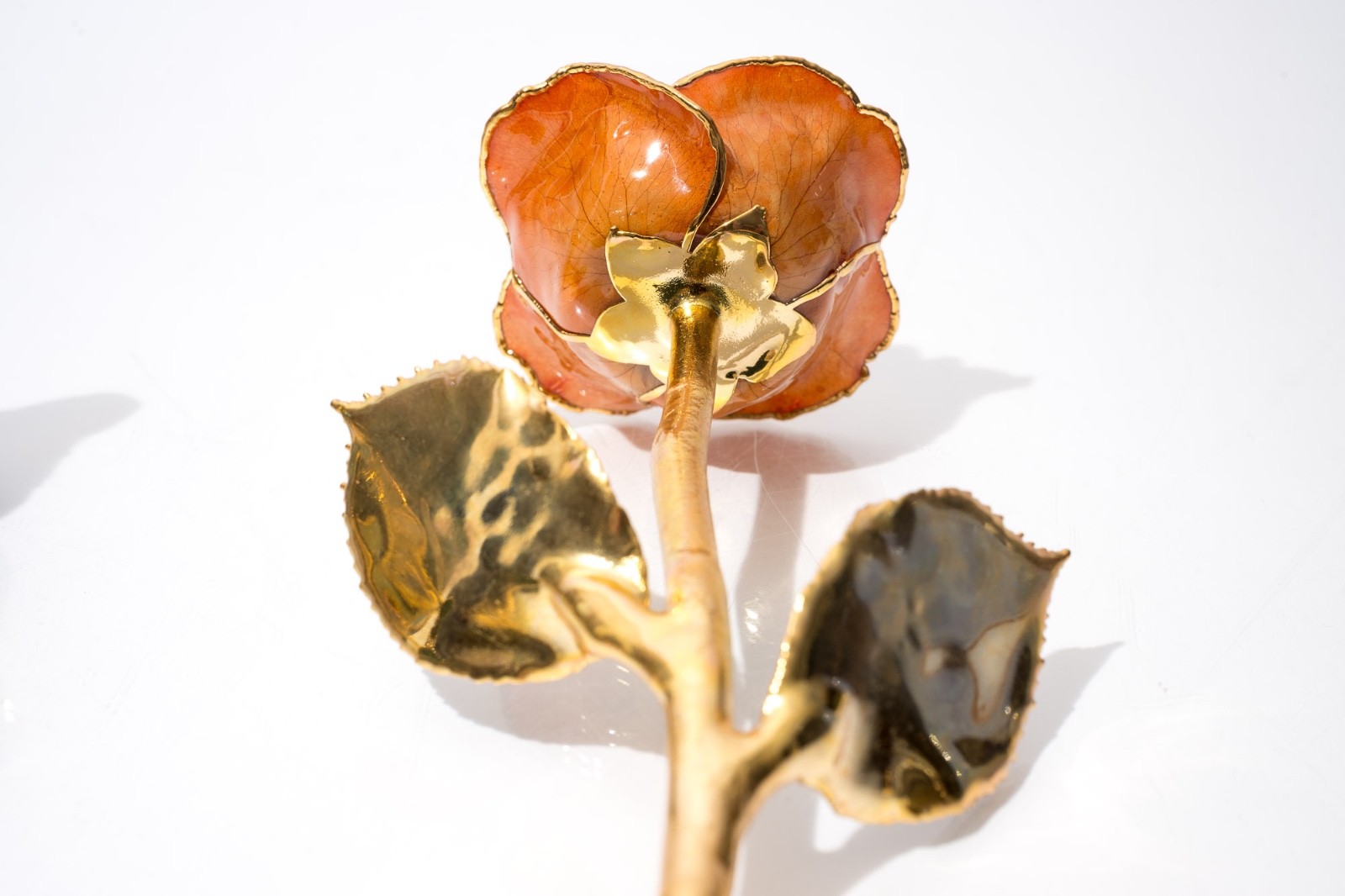 Gold Tipped Real Roses, Gift For Her