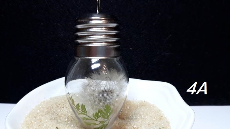 Dried Dandelion Art Dandelion Flower For Craft Dried Flowers decor Dandelions
