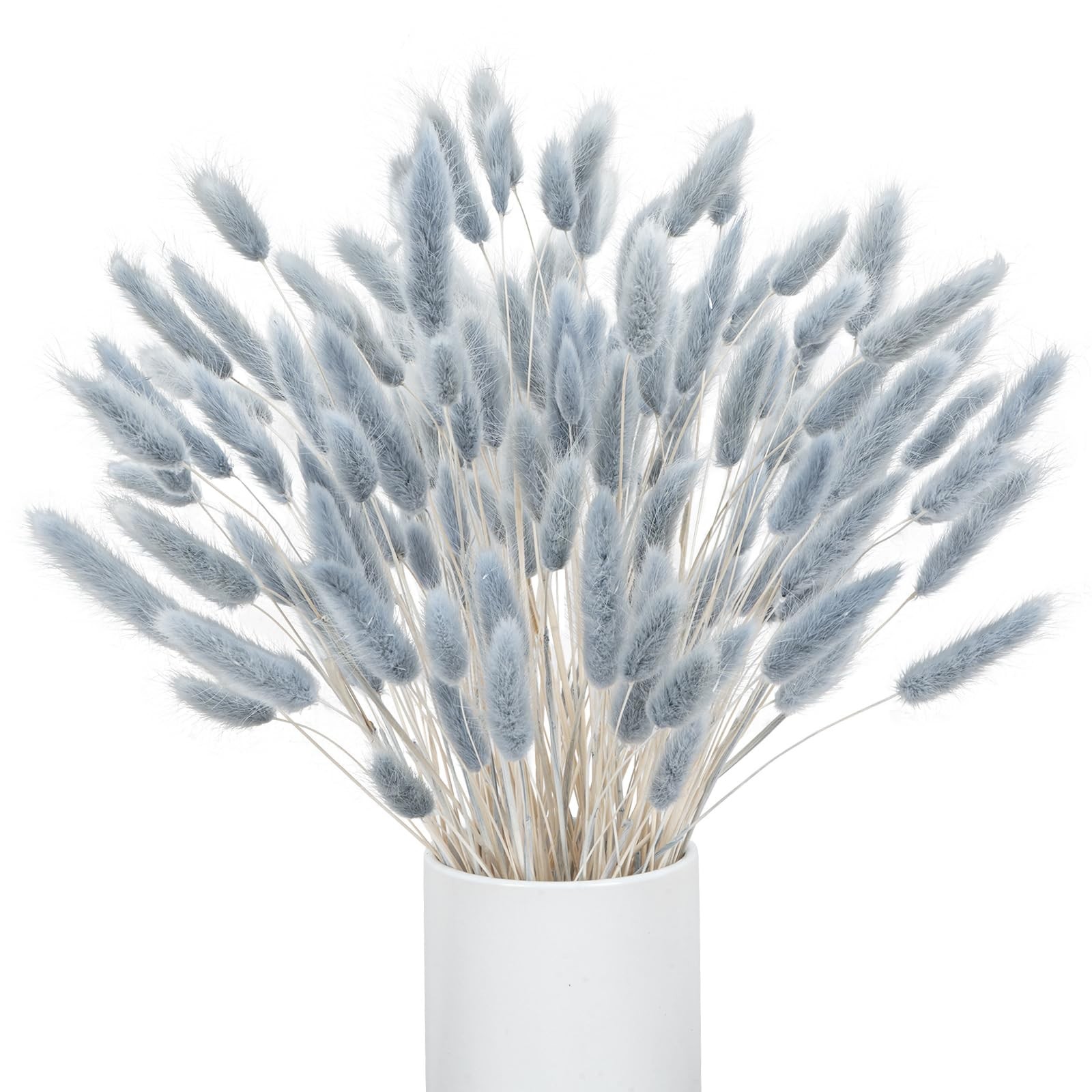 VirtuGro16IN 120pcs Blue Pampas Grass Bunny Tails Dried Flowers Rabbit Tails …