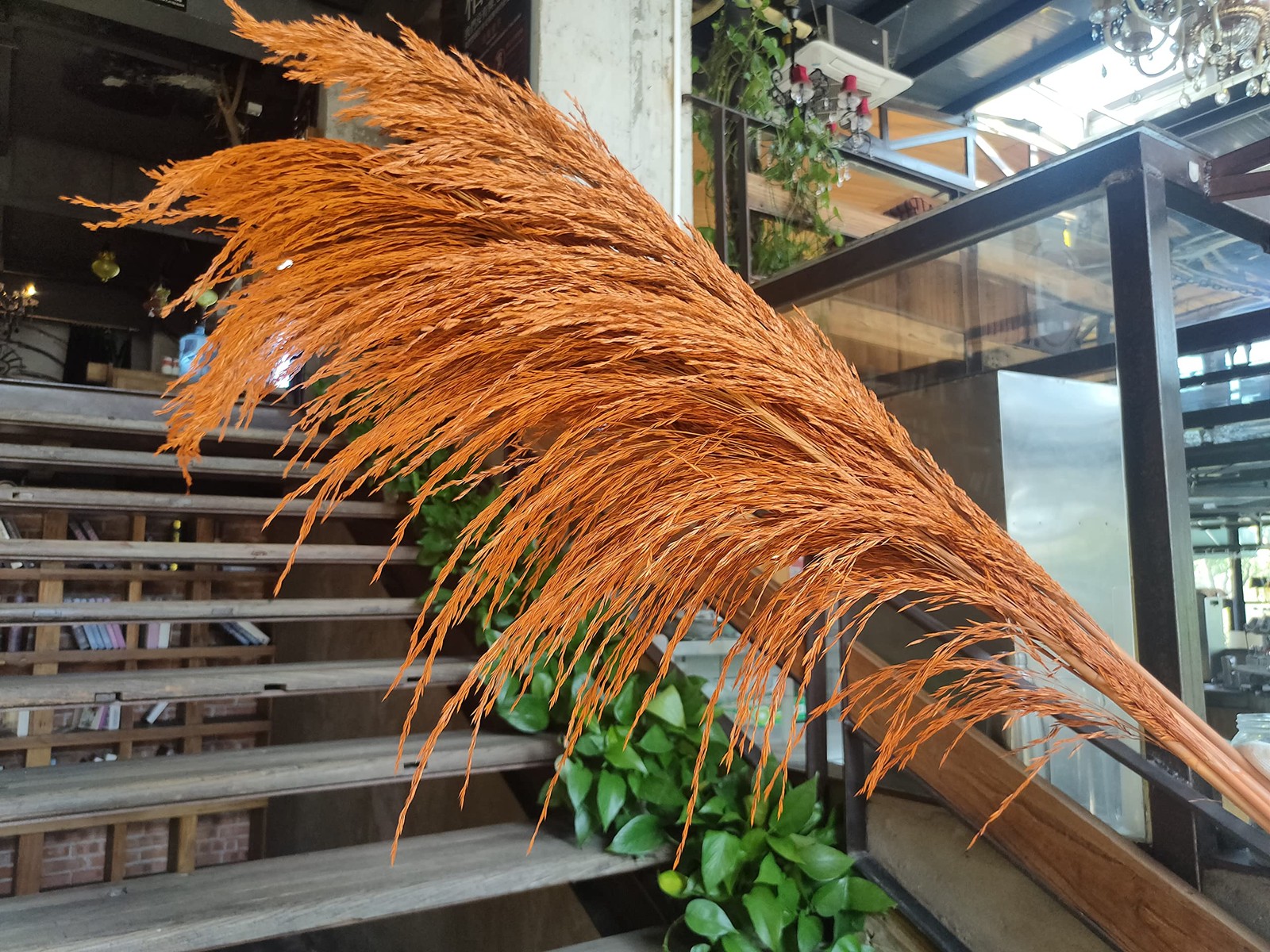 8 PCS 31.5 Inch 80cm Natural Orange Tall Pampas Grass Decor Feather Flowers