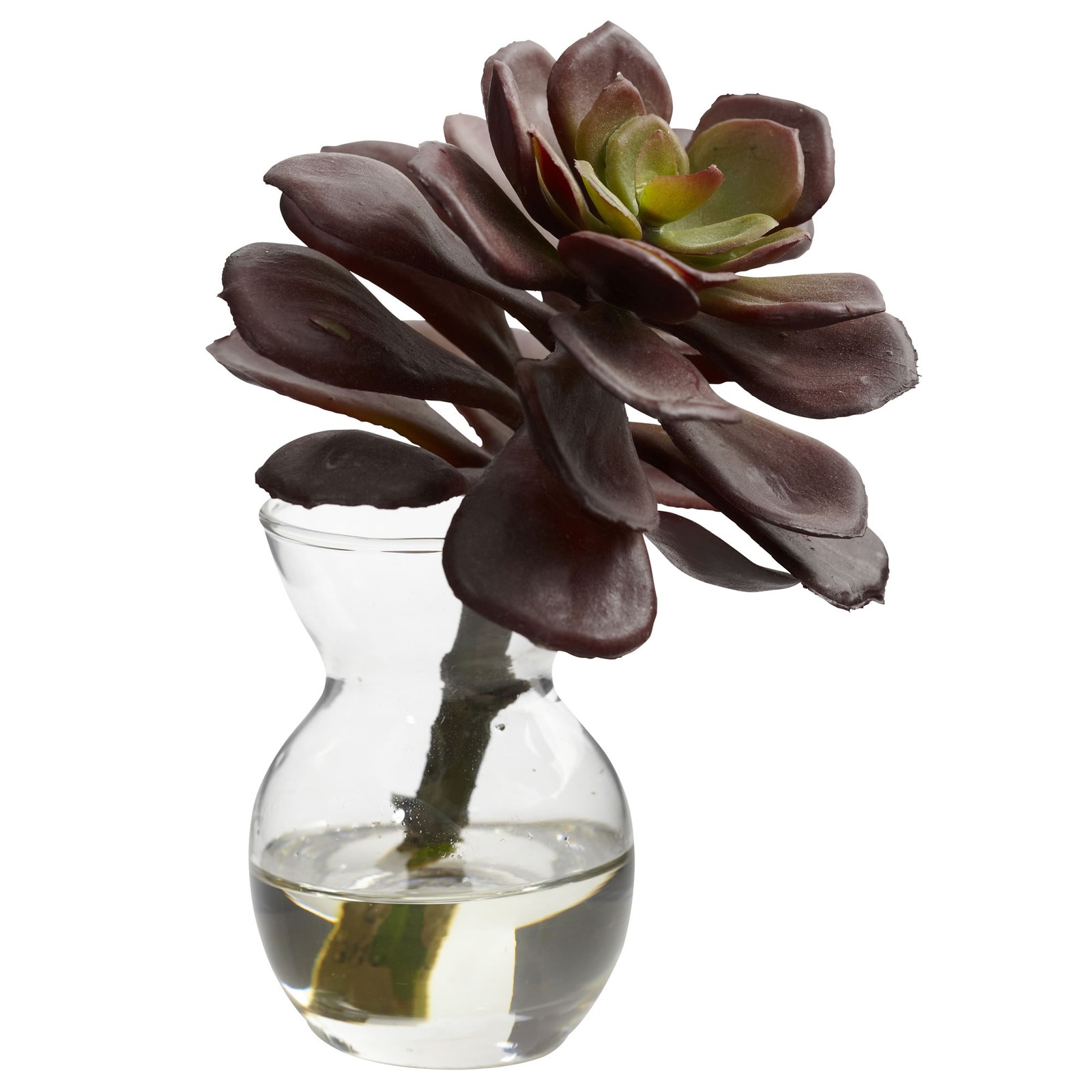 5.5 Inch Succulent Arrangements Set of 3 Faux Plants in Mini Vases with Liquid