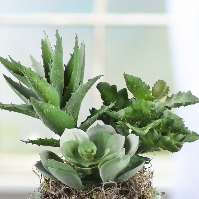 Trio of Assorted Artificial Dusty Green Succulents for Crafting, Creating