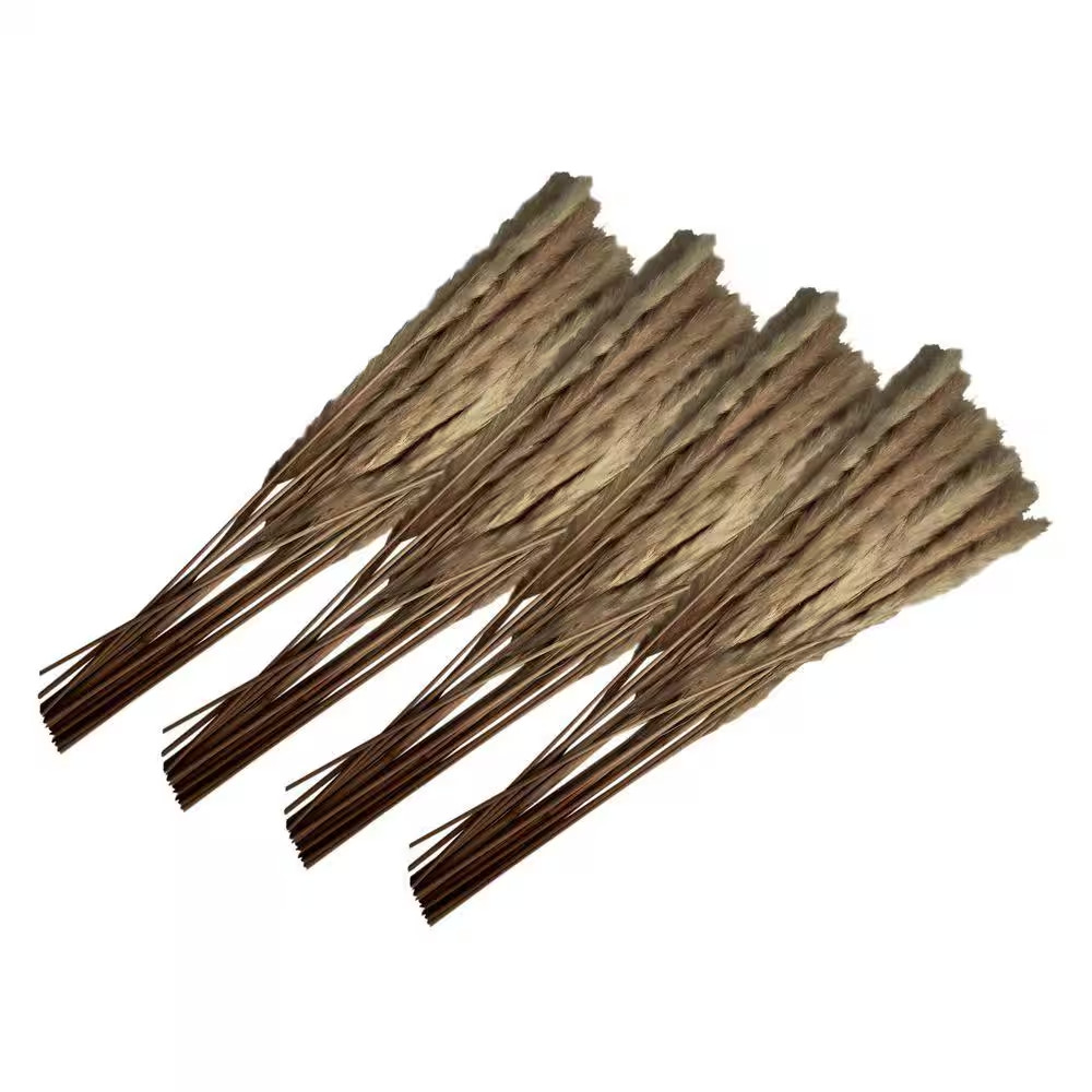 20 In. Brown Natural Indoor Non Artificial Dried Preserved Small Pampass Grass (