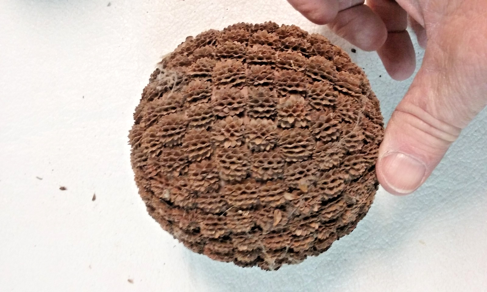 3 Brown Seed Pod Mosaic Decorative Ball Ornaments 5″ to 6″ & 4″ to 5″ wide