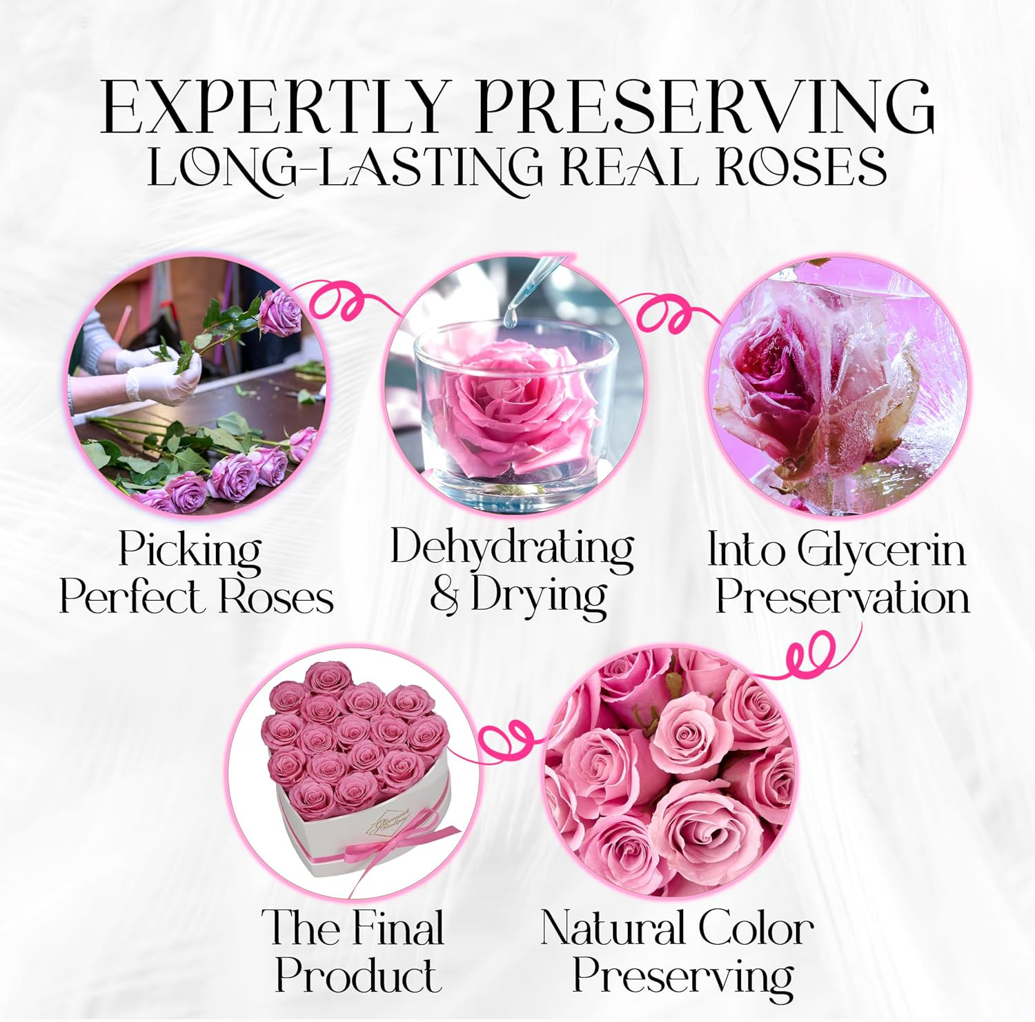 Preserved Roses in a Box – Gifts for Her, Wife & Mom, Rose Flowers Forever Decor