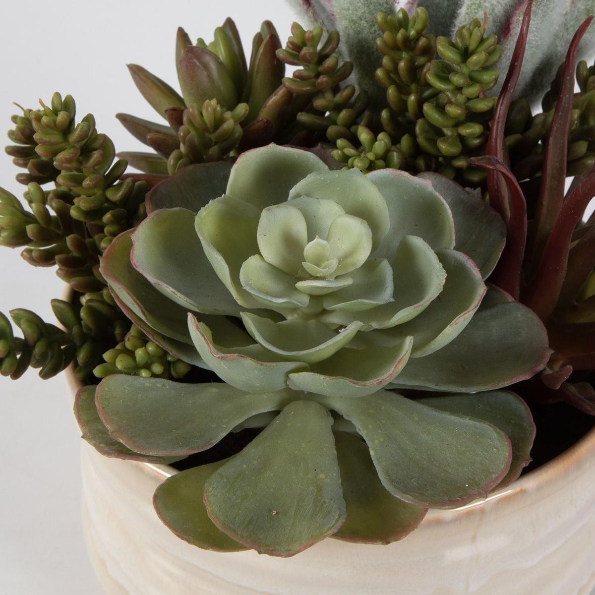 Uttermost 60209 Mesa Succulent Green with Textured Tan Glaze Succulent Accent