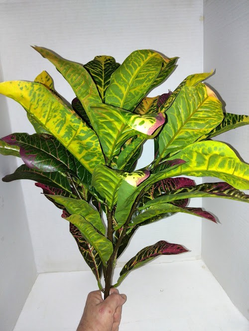 LARGE Artificial Croton plant YELLOW GREEN