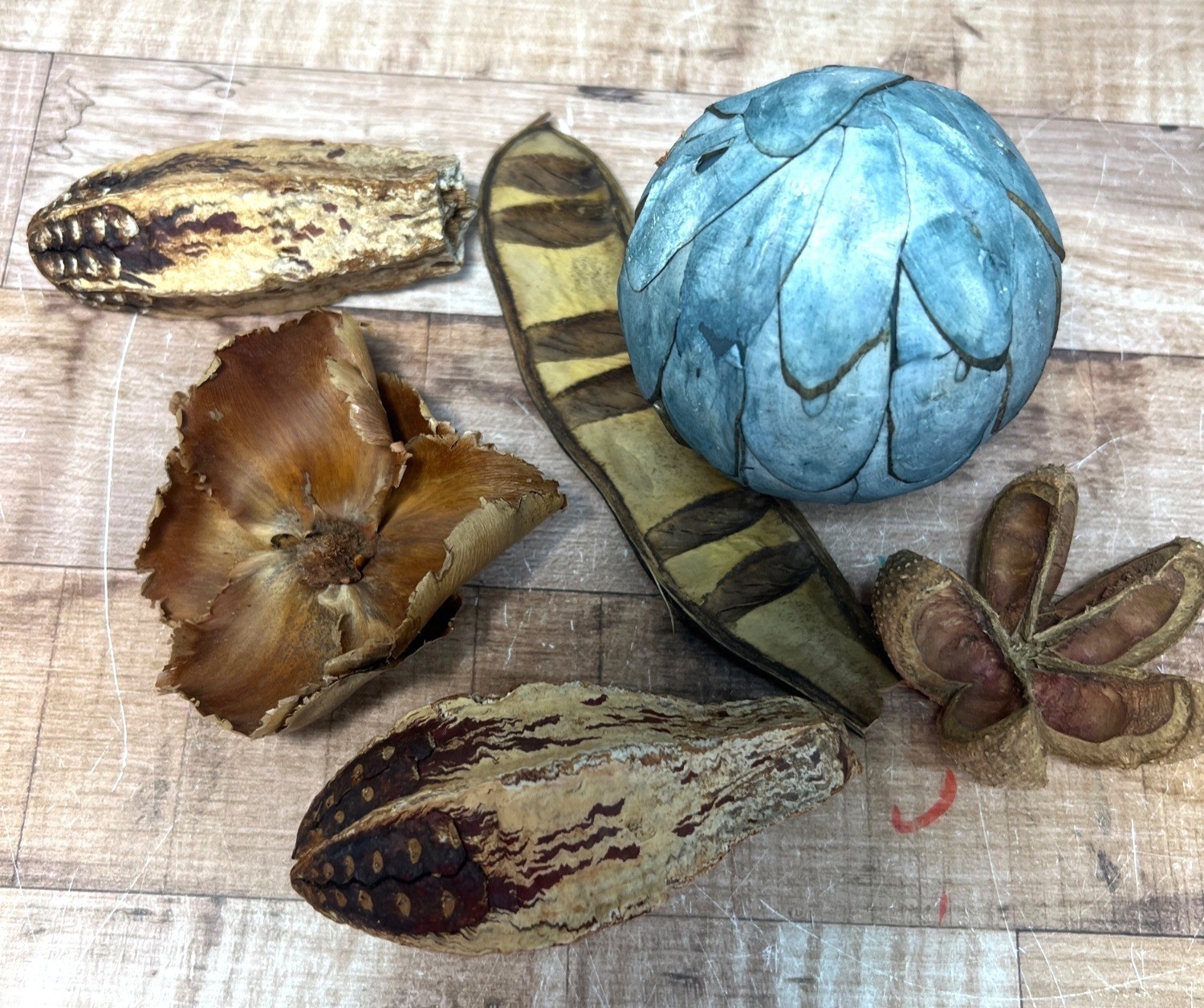 Decorative Natural Pods & Blue Textured Sphere Rustic Accent Pieces