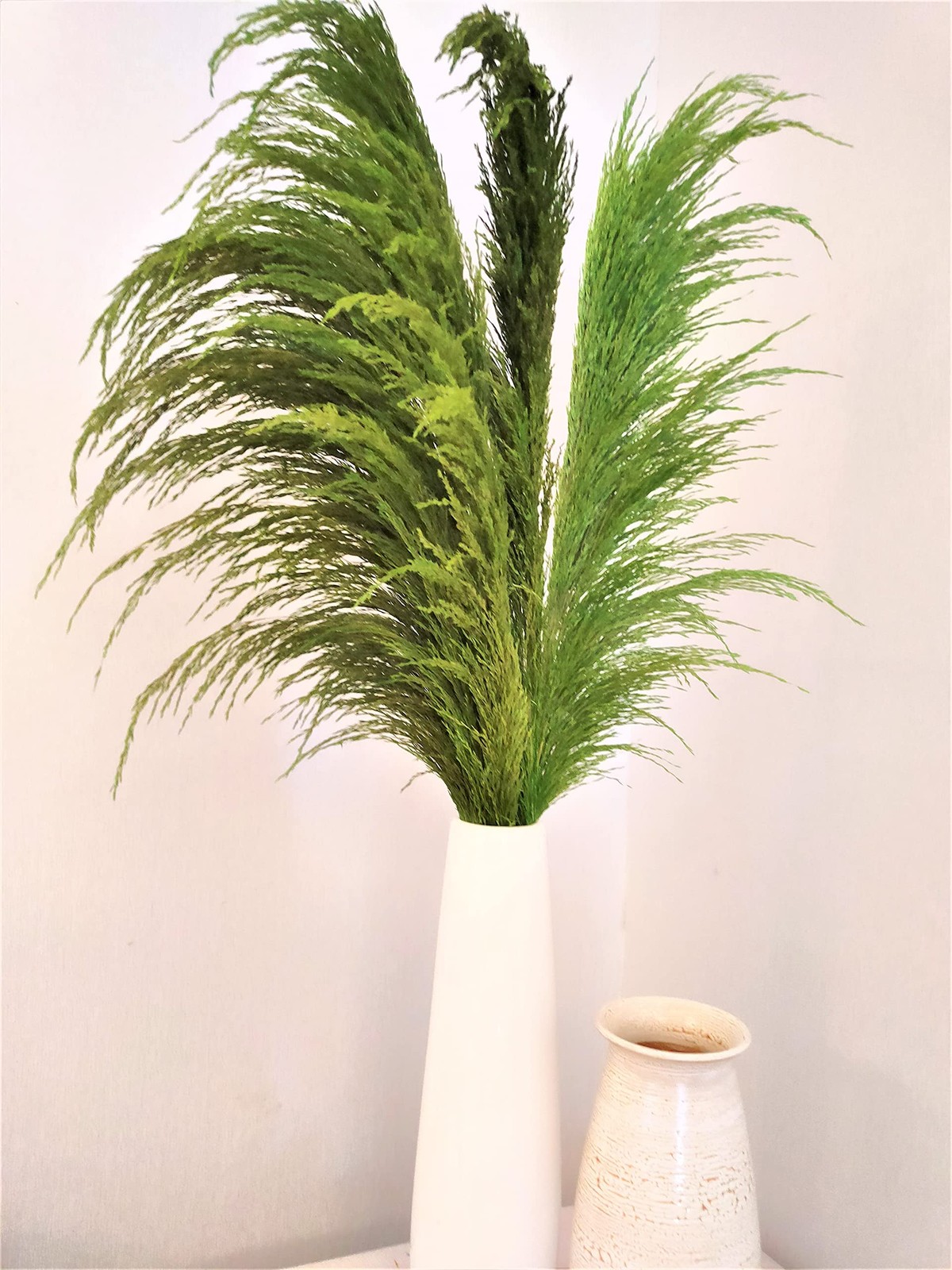 Green Pampas Grass Tall 8pcs 31.5″ Natural Colorful Pompas floral with Dried …