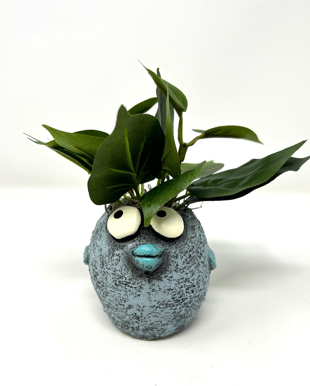 5″ Potted BUBBLES Blue FISH Blob House Mini pot with silk Green Pothos as shown