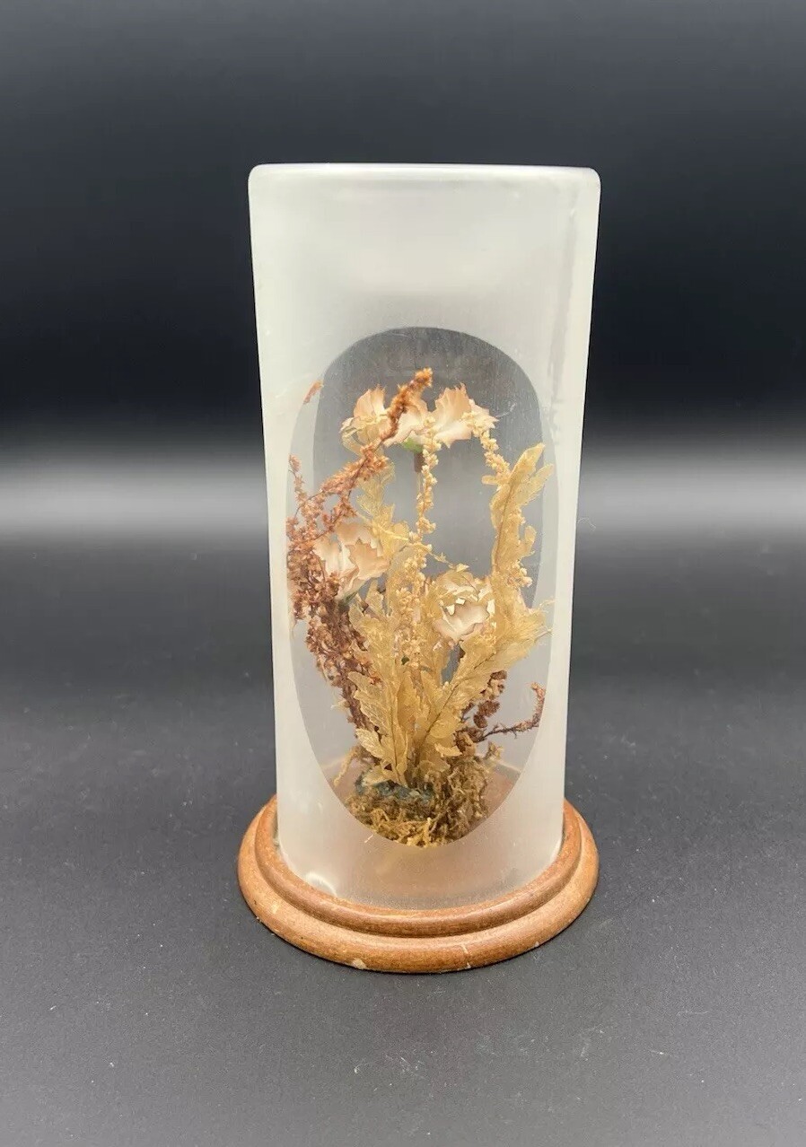 Vintage Terrarium Dome Display Dried Flowers Wood Base 1970s 7.75”