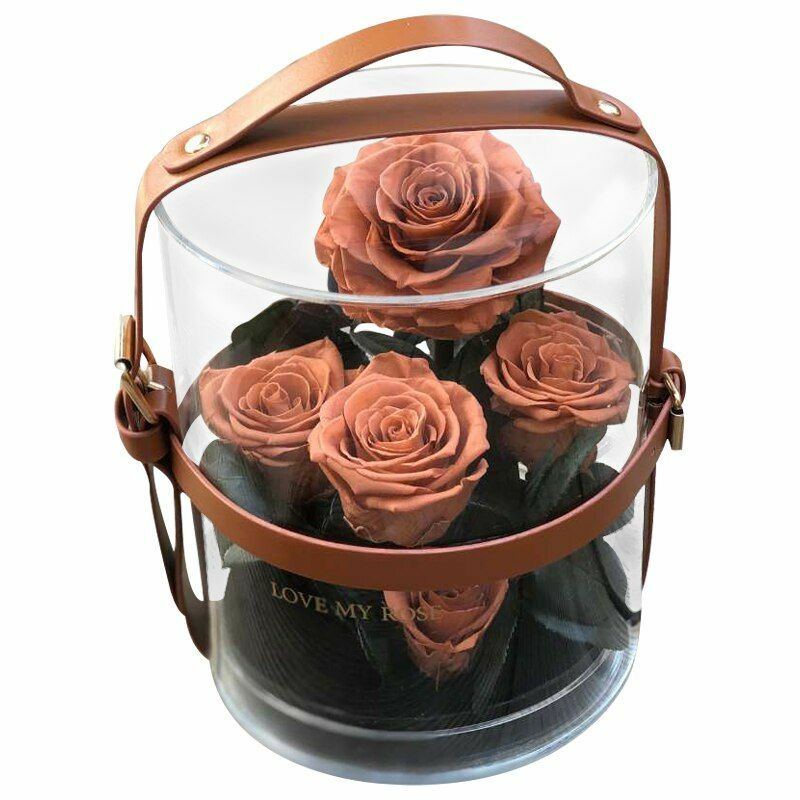 Eternal Flowers Rose Valentine Christmas Wedding Birthday Gifts For Girlfriend