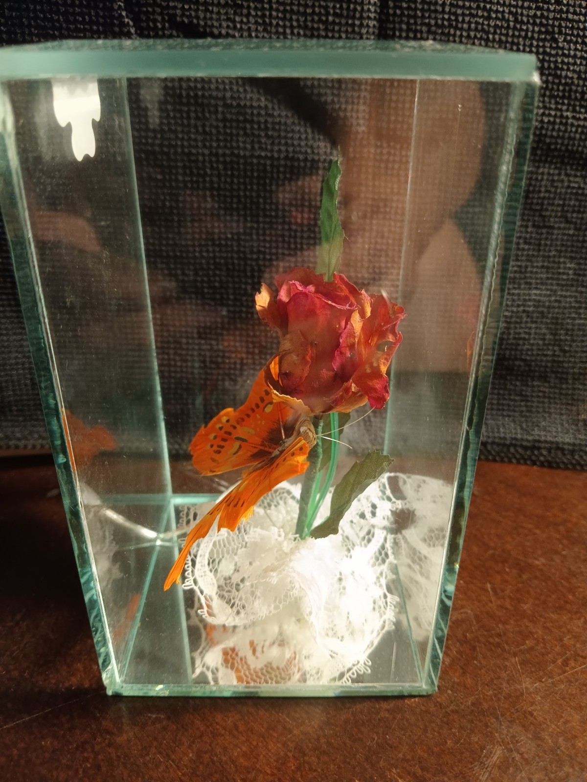 Lifesake Flowers Preserved Real Rose Glass Display ( No Base ) FREE SHIPPING