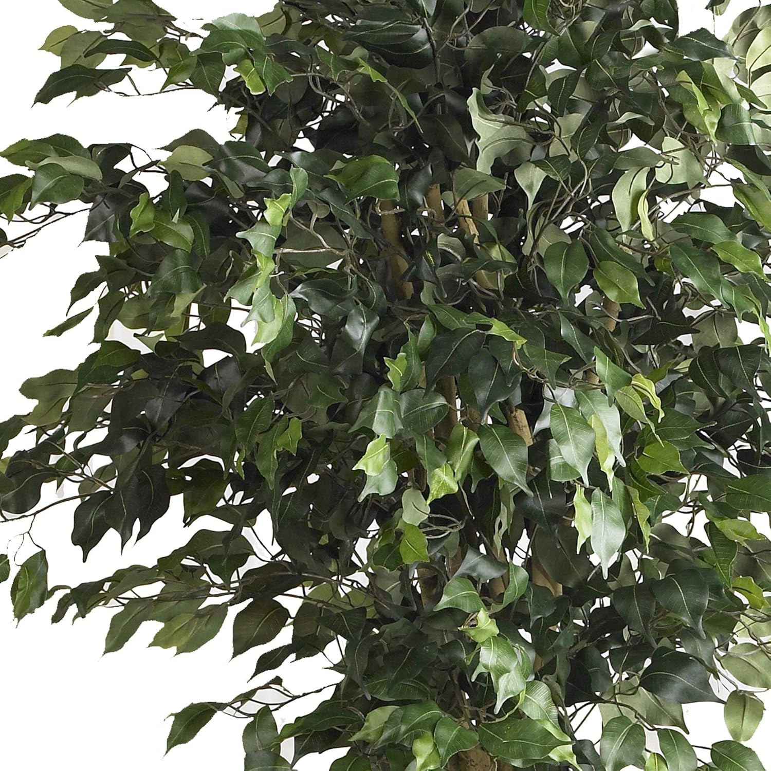 6-Foot Double Ball Ficus Silk Tree – Lush Green Decor