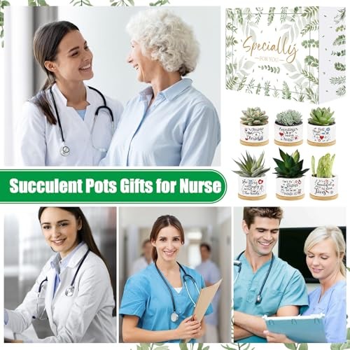 6Pcs Appreciation Gifts Succulent Potss Day Ever Gifts Mini Ceramic Nurse