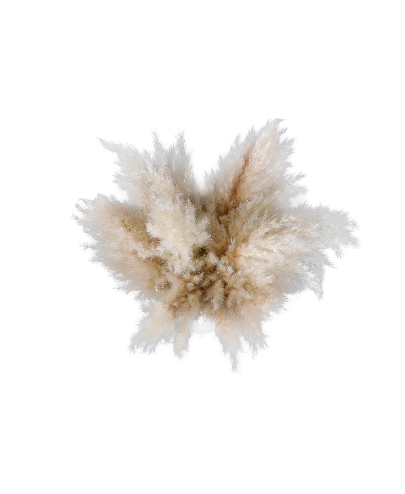 22-Inch Pampas Grass Arrangement in Natural Ceramic Vase for Modern or Boho Spac