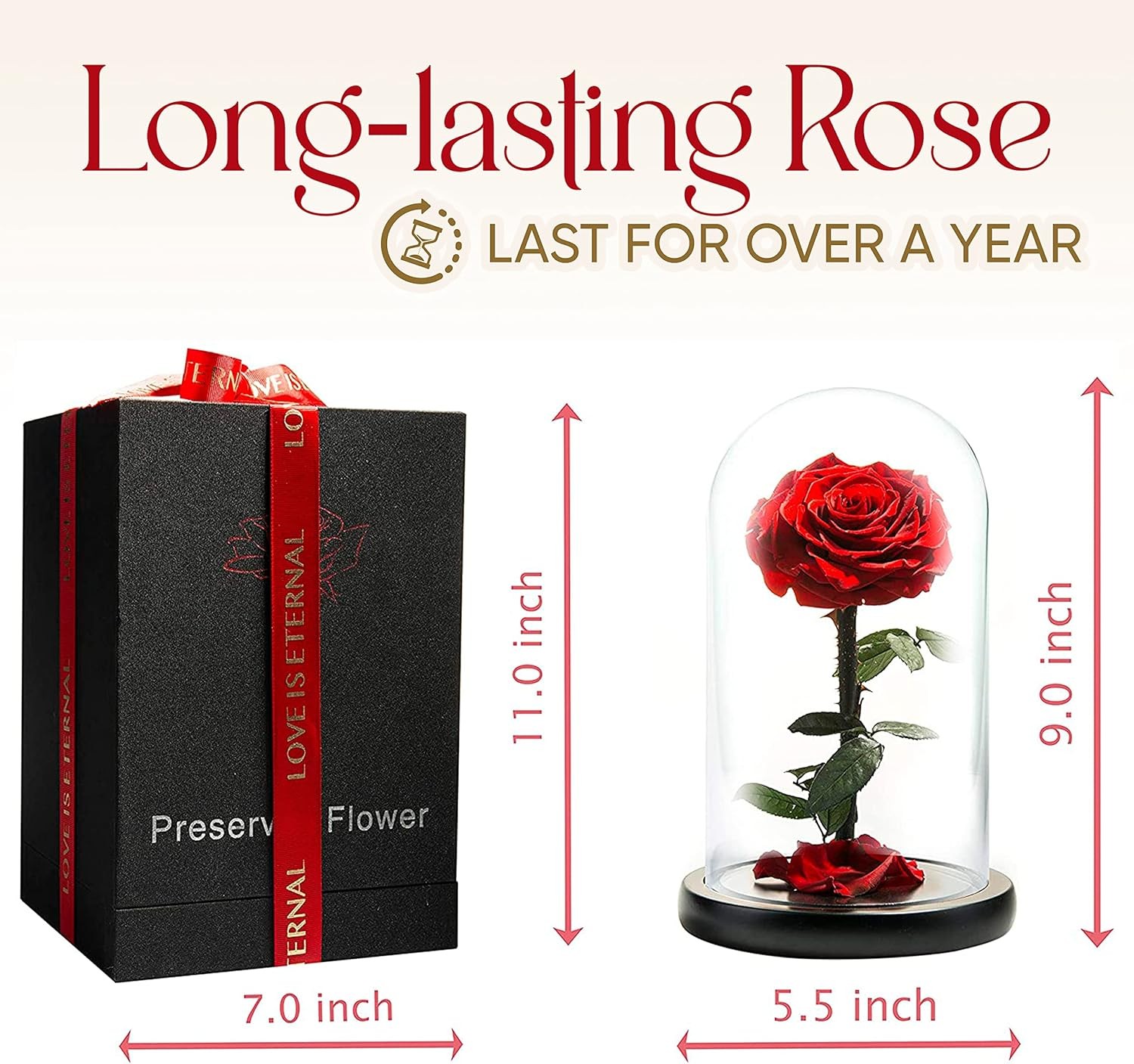 Forever Preserved Rose-Eternal Rose in Glass Dome-Beauty and The Beast for
