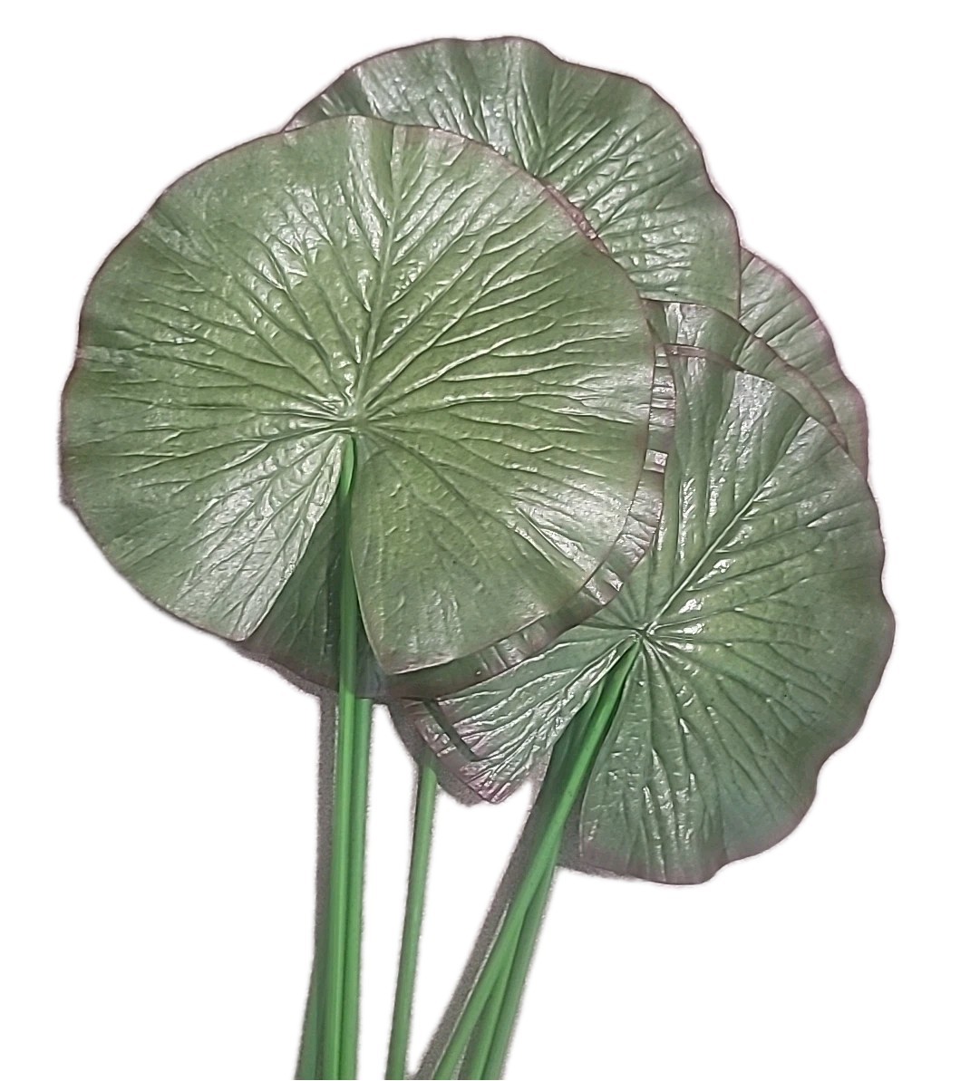 27” Faux Foliage Realiatic Plant Lotus Leaf (Set of 9), 9″ Leaves Decoration
