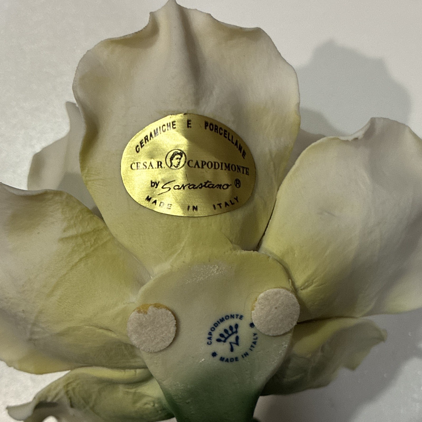 C.E.S.A.R. Capodimonte by Sarrastano Porcelain Artificial White Flower Stem RARE
