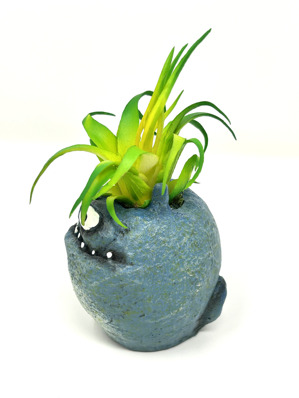 4.5 in. Potted Blue Monster MURPHY Blob House Mini pot WITH faux Harrisii Air pl