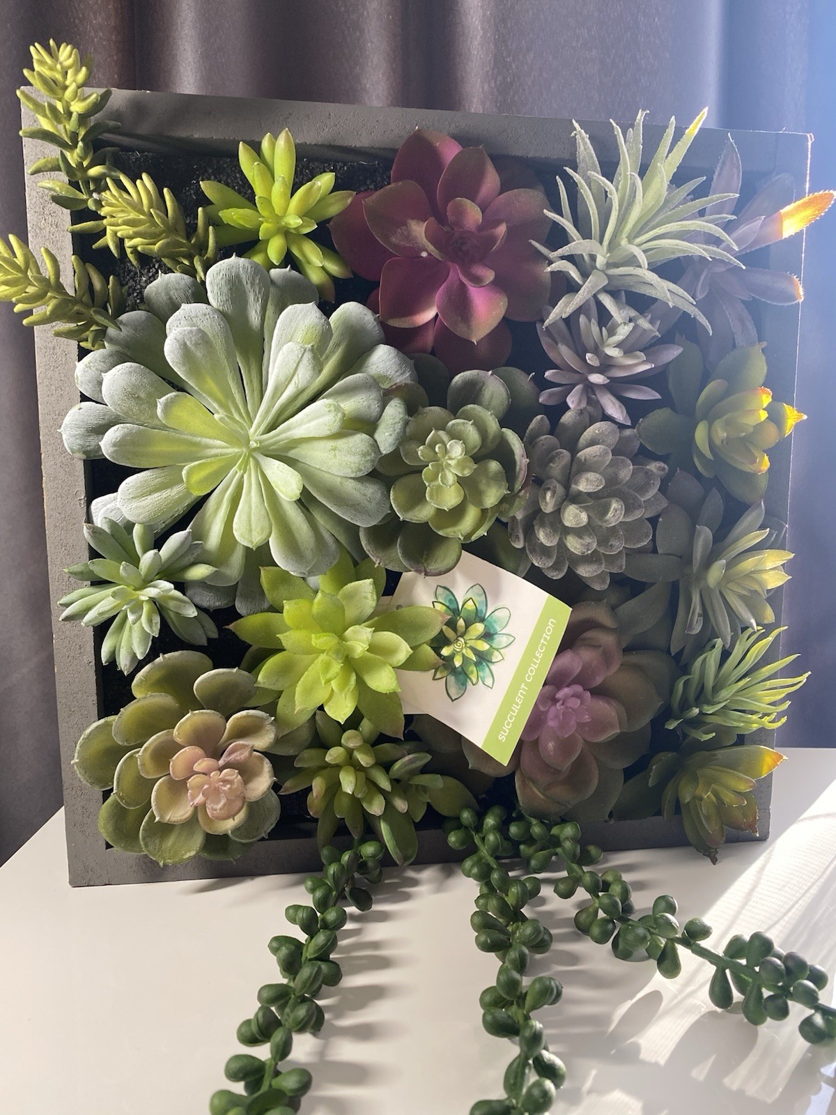 WALL OF FAUX SUCCULENTS in Gray Wood Box Decor Display 12x11x3 inches Art