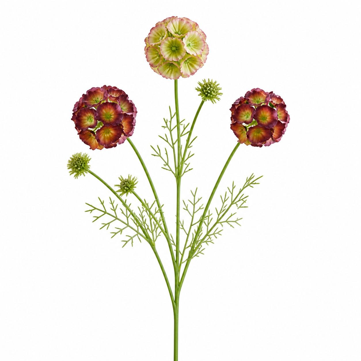 Artificial Scabiosa Flower Stems Green Blush Burgundy Faux Wildflower Cottage Fl