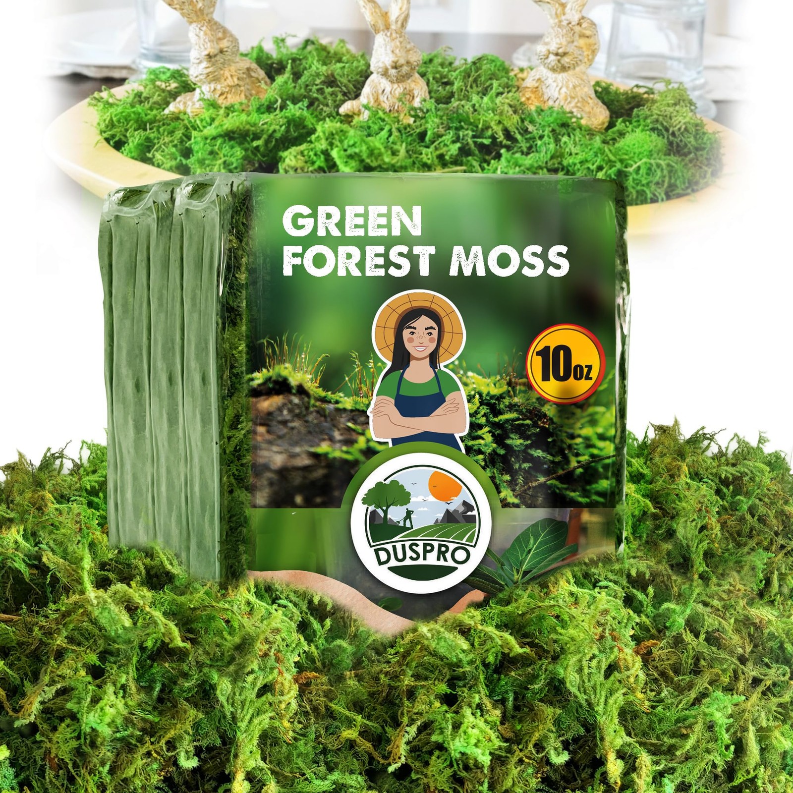 Green Forest Moss for Crafts, Real Dried Decorative Moss for Indoor Planter S…