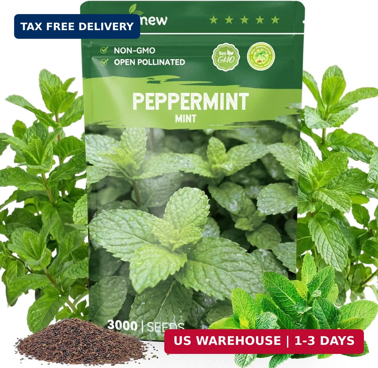 3000 Peppermint Seeds for Planting Indoors & Outdoors – Premium Non-GMO Heirloom