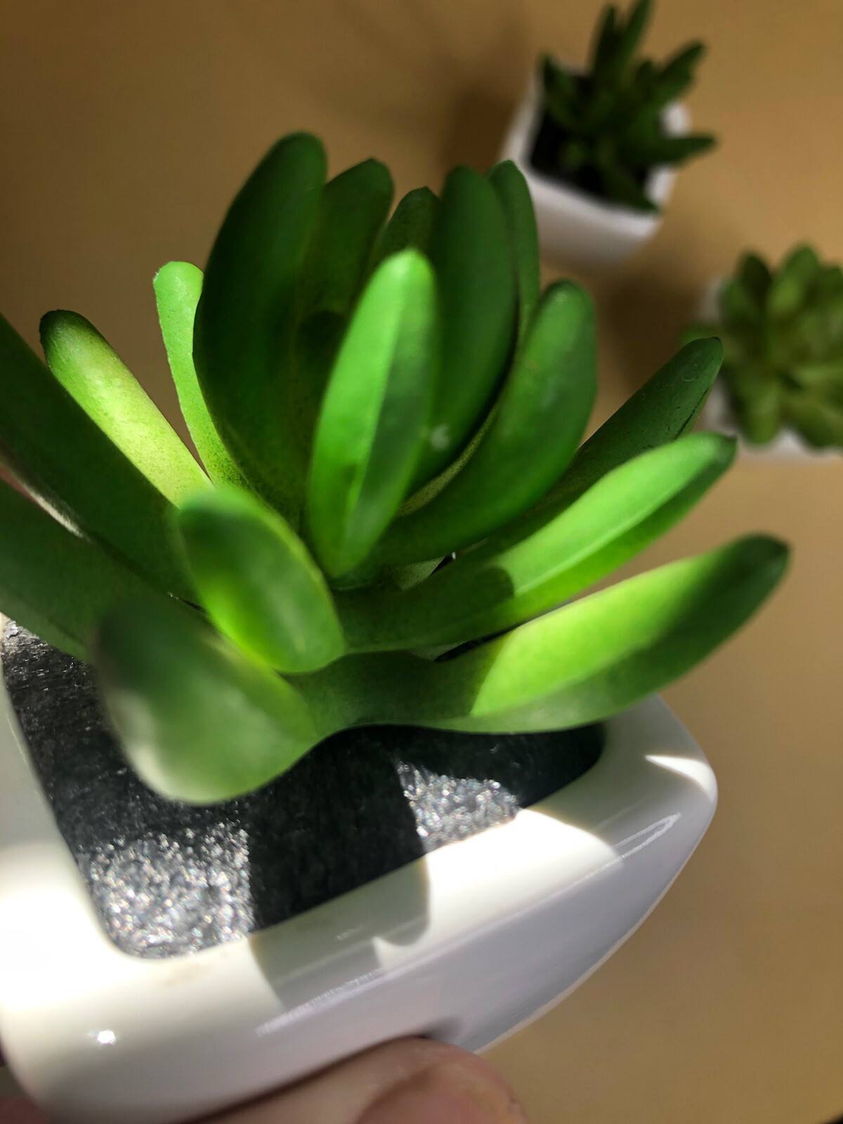 Set of 3 Plastic & Porcelain Succulents Green White 3×2 inches Each Fake Plants