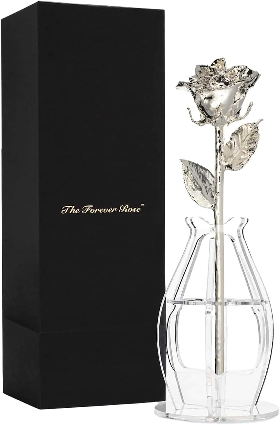 Hand Dipped Silver Rose & Phantom Vase | Unique Valentine’s Gift Bundle