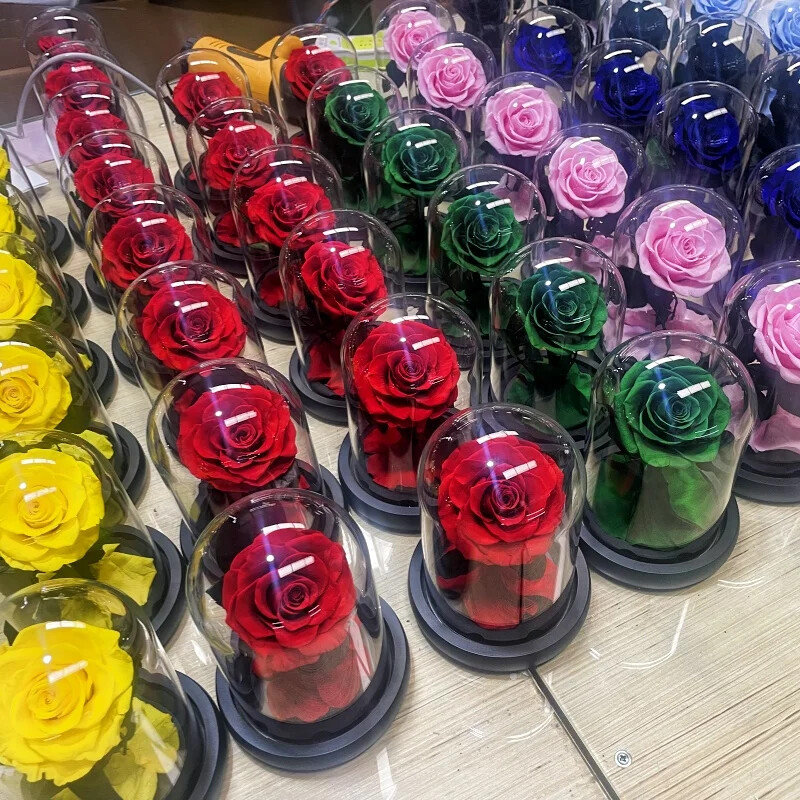 Unbreakable Love: Immortal Preserved Rose Dome – Valentine’s Day Gift