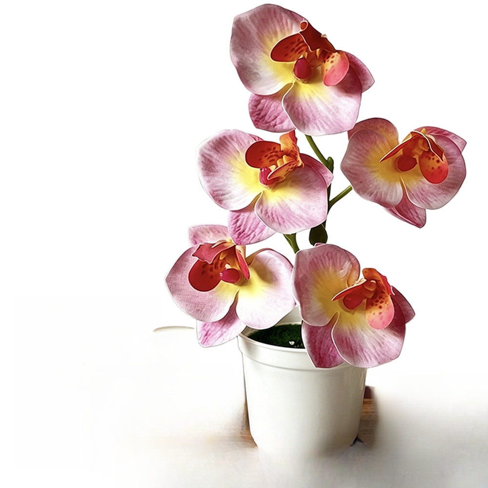Artificial Orchid Flowers 5 Pcs 21cm Tall for Living Room Bedroom Office Decor