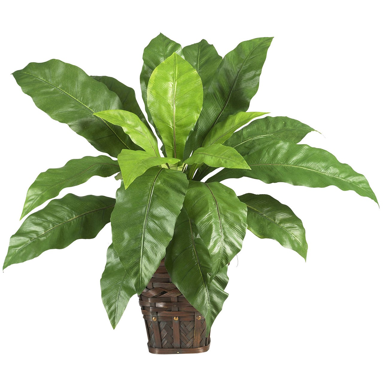 ARTIFICIAL SILK REALISTIC BIRDS NEST FERN FLOOR PLANT ARRANGEMENT w/ WICKER POT