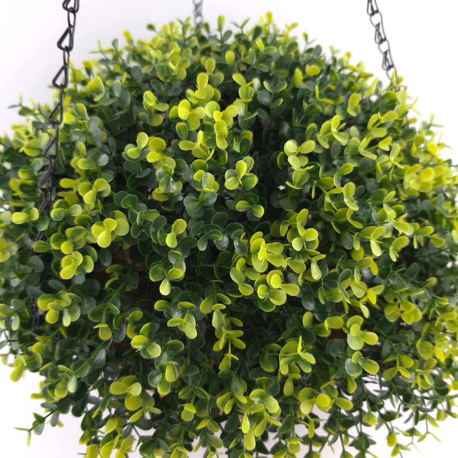 Wicker Park 17″ Faux Boxwood Floral Indoor/Outdoor Spring Hanging Basket